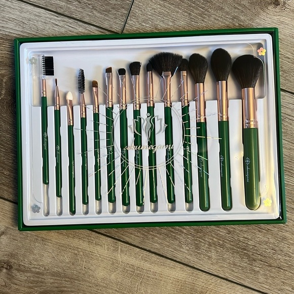 Other - Set of 14 Makeup brushes